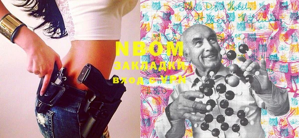 хмурый Алексин