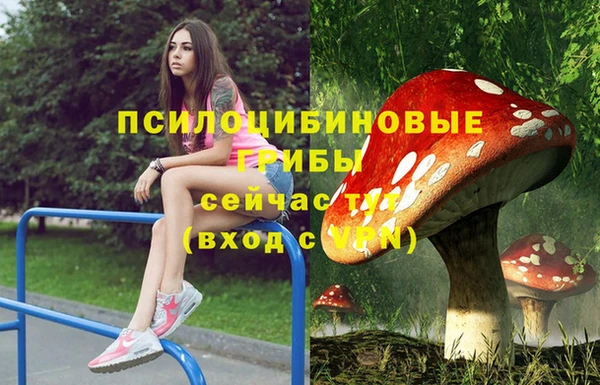 МДМА Алексеевка