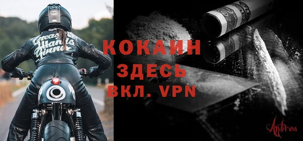 хмурый Алексин
