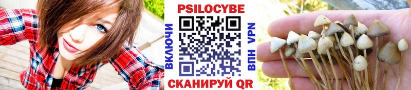 Галлюциногенные грибы прущие грибы  хочу наркоту  Коряжма 
