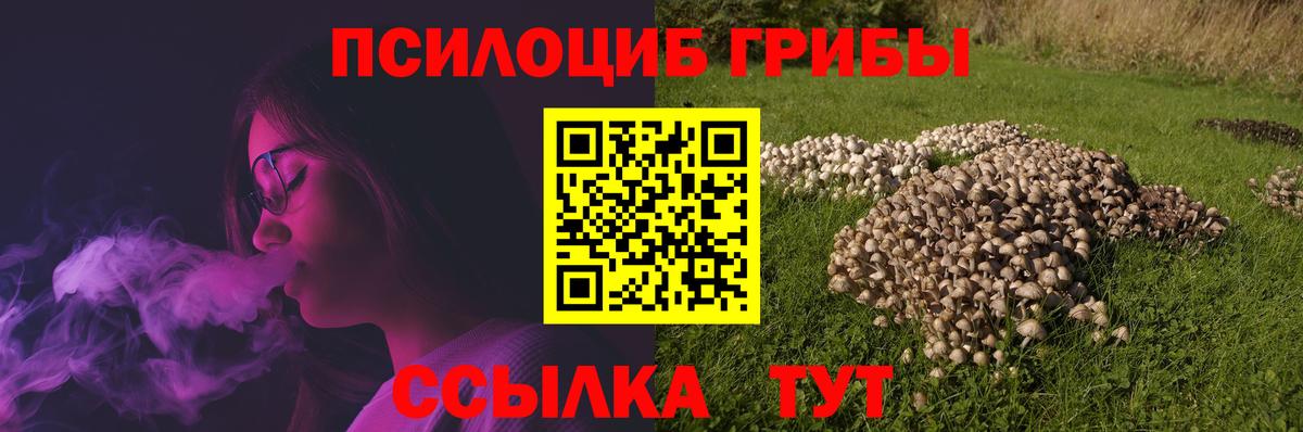 Галлюциногенные грибы GOLDEN TEACHER Коряжма